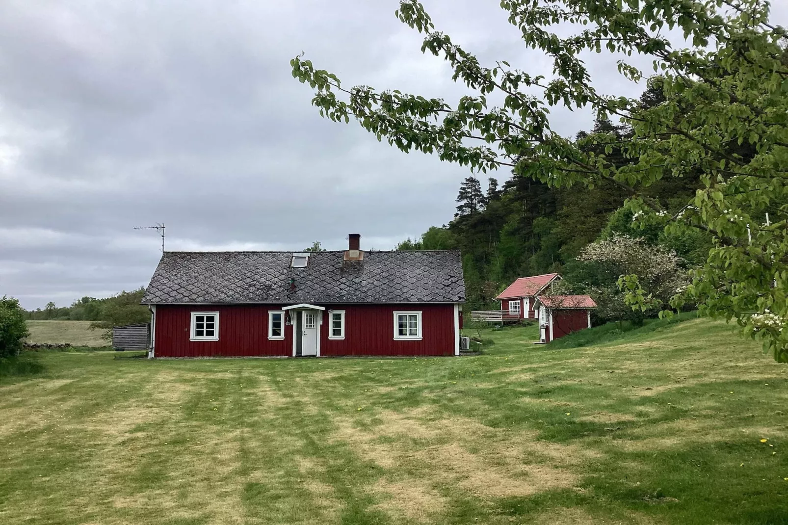 6 Personen vakantie huis in VESSIGEBRO-Buitenlucht