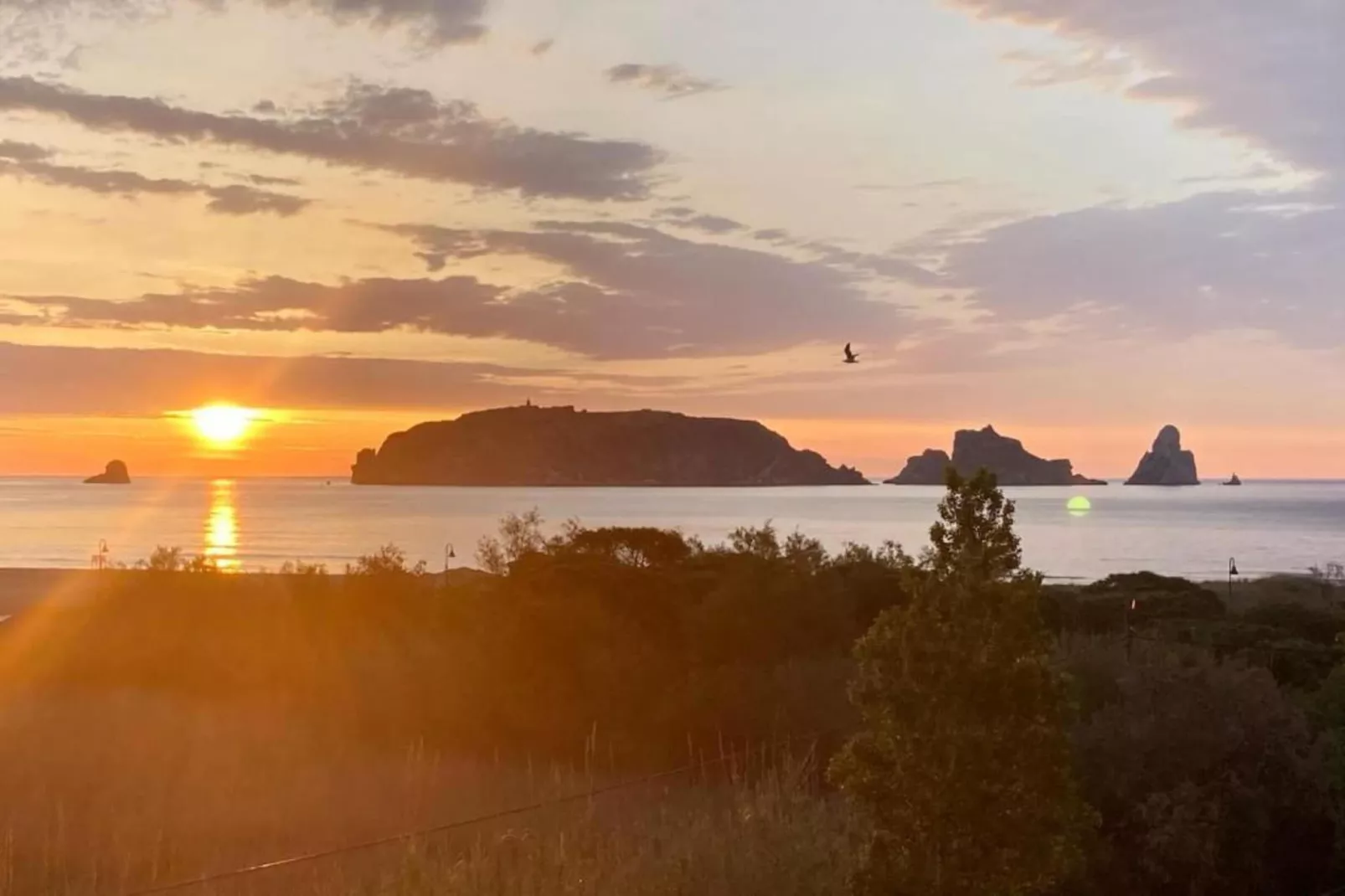 ARGONAVIS 117-Gebieden zomer 1km