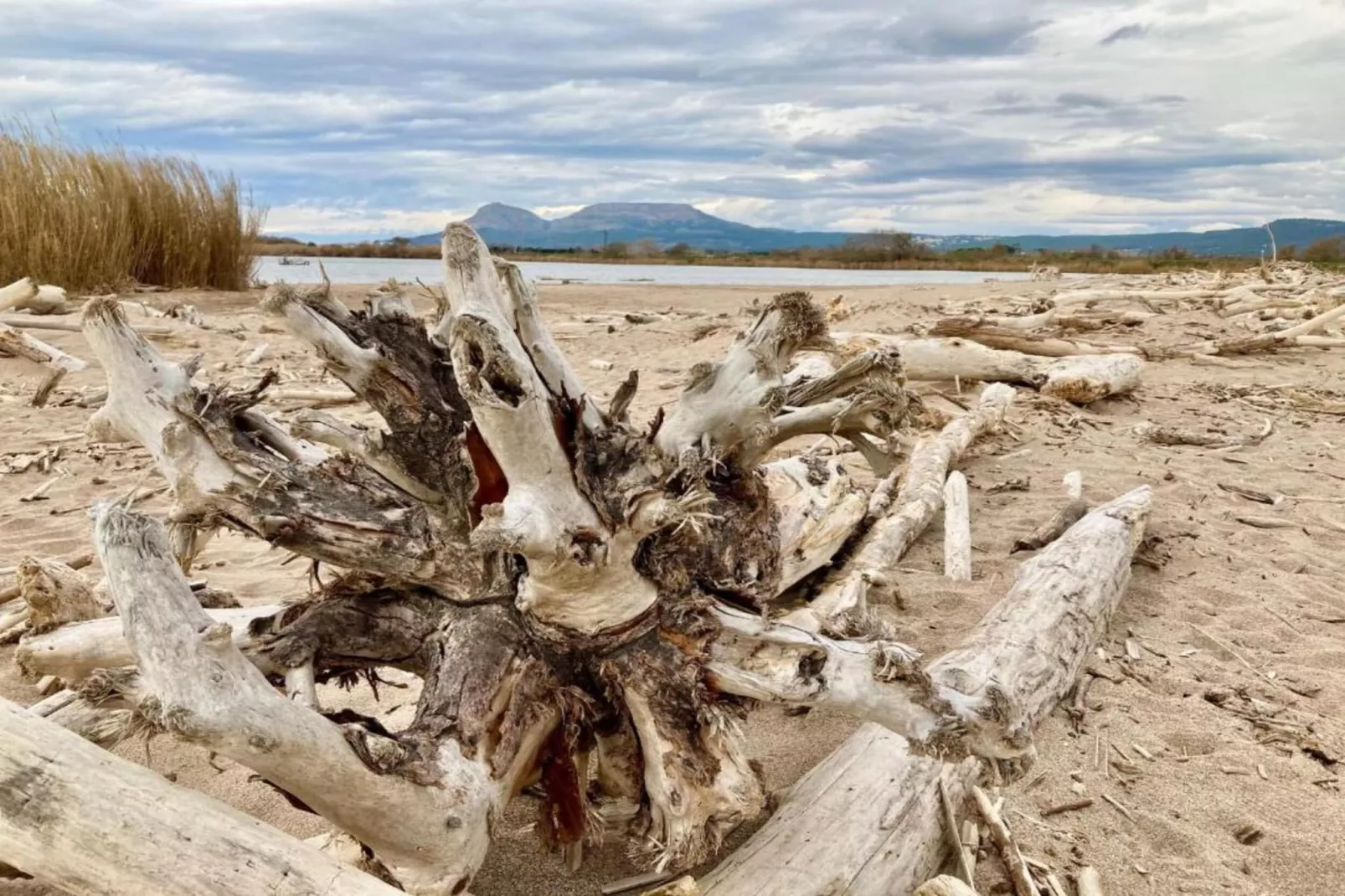 ESPIGO B 1-2-Gebieden zomer 1km