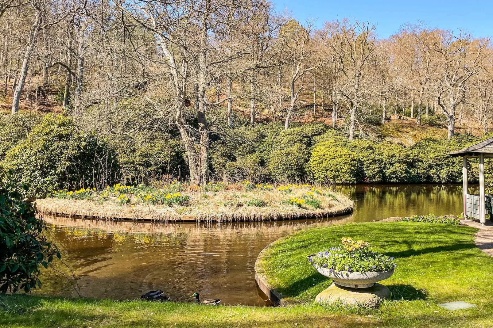 4 sterren vakantie huis in Ronneby