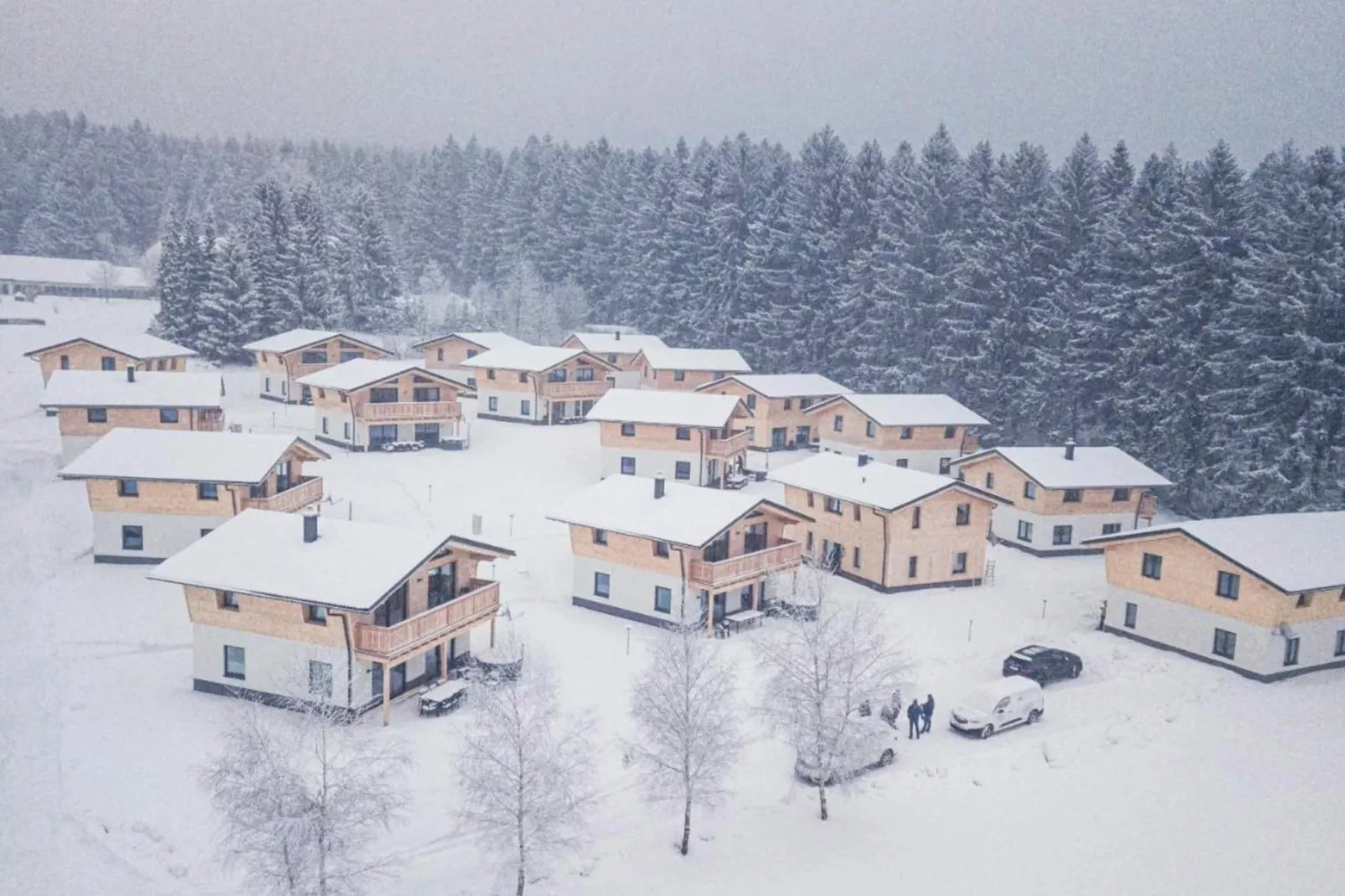 Ferienwohnung-Gebied winter 20km