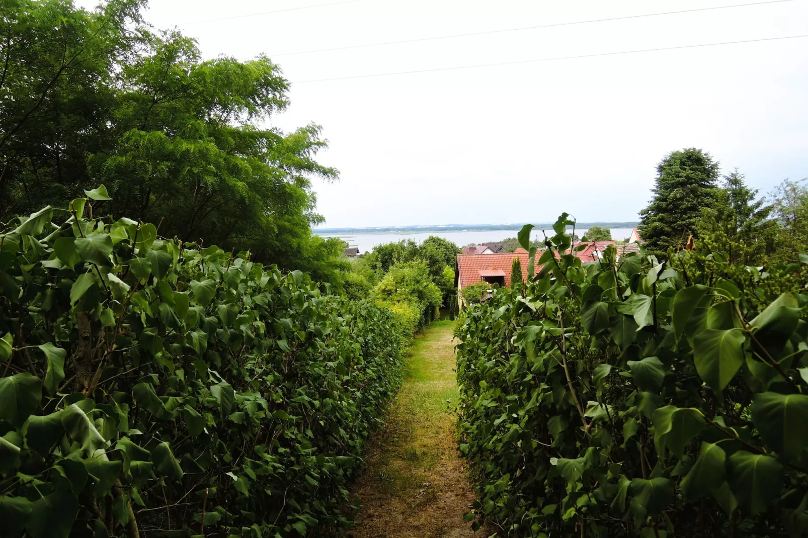 Pokój 2 osobowy nr 5 - widok na ogród-Tuinen zomer