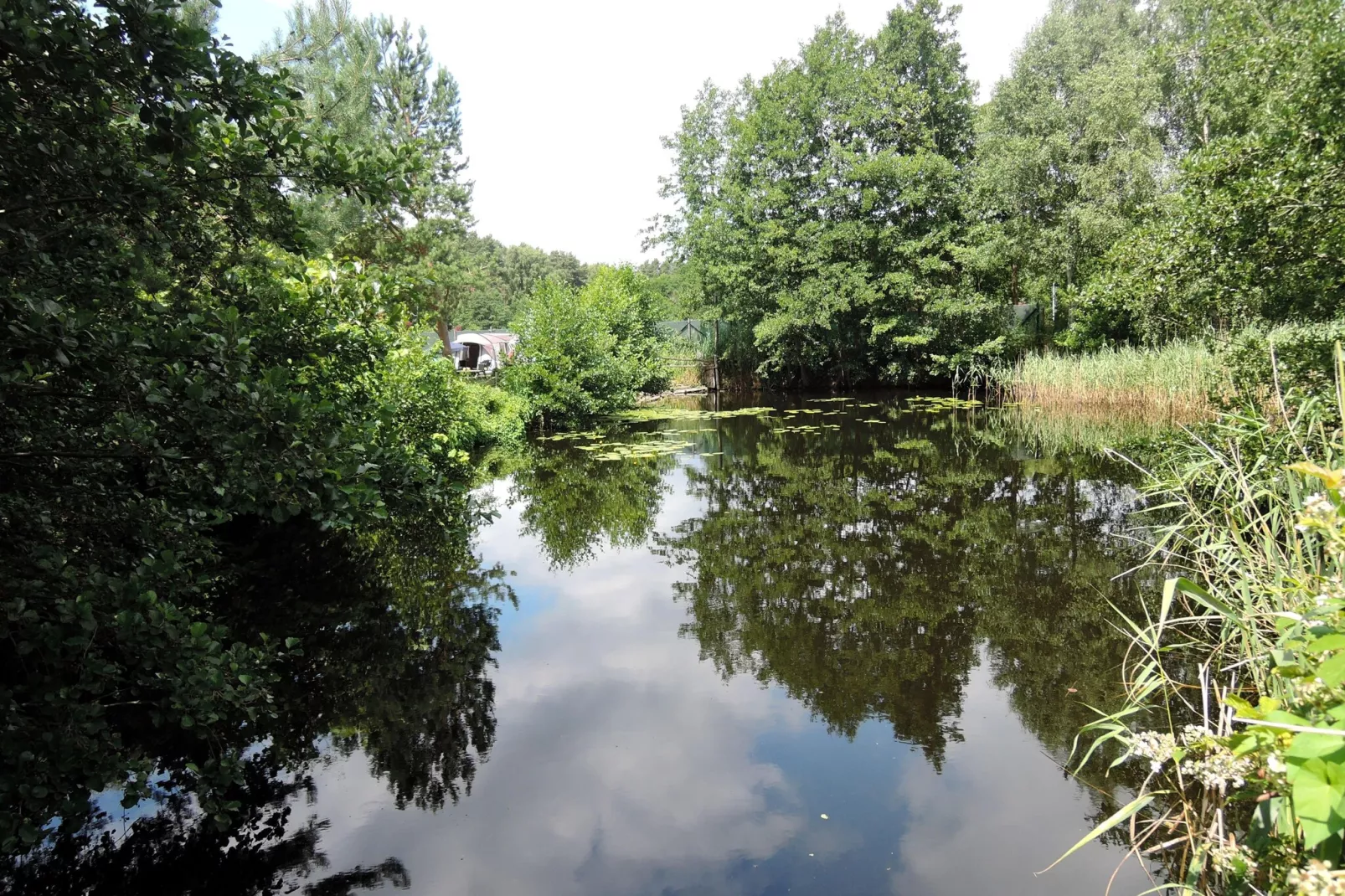 Pod świerkami pokój nr 6 dla 3 osób - Tuinen zomer