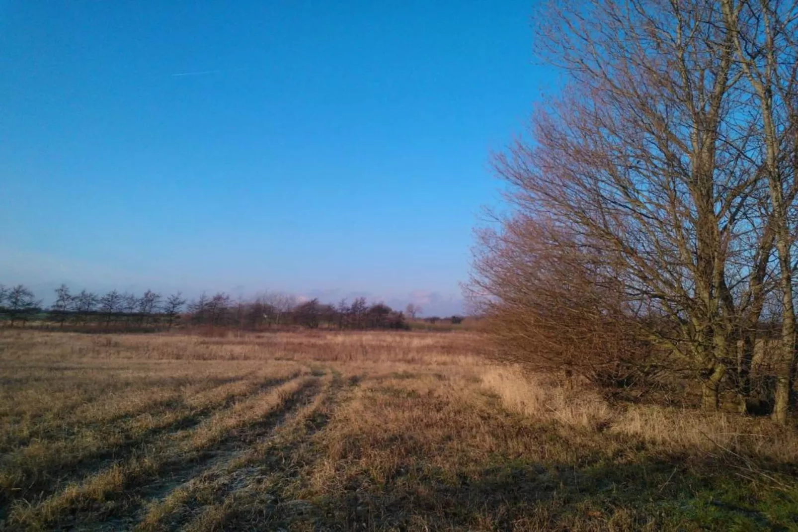 Rustig kustparadijs-By Traum-Niet-getagd