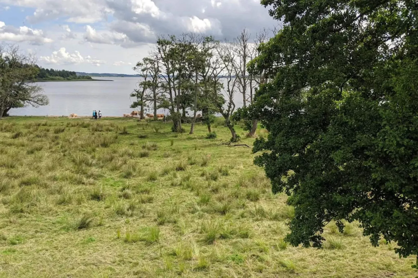 Vakantiehuis aan het meer met bos-Waterzicht