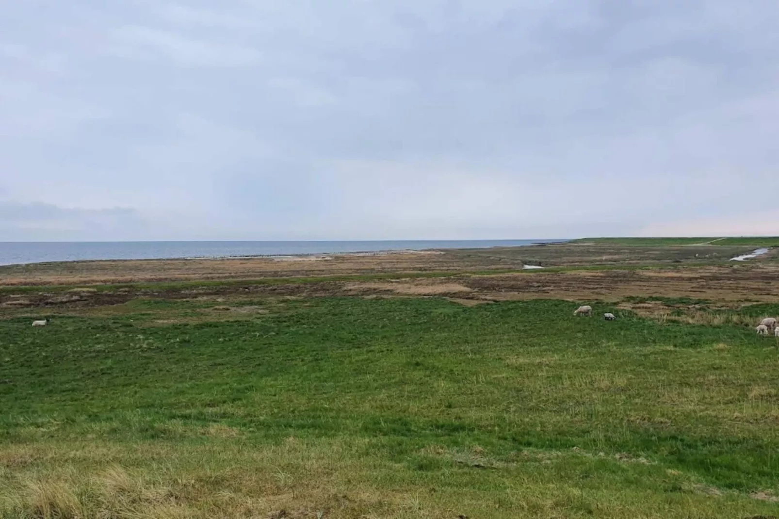 6 persoons vakantie huis in Rømø-By Traum-Waterzicht