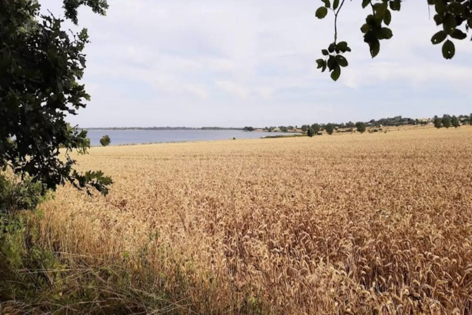 3 persoons vakantie huis in Ærøskøbing-By Traum-Buitenlucht