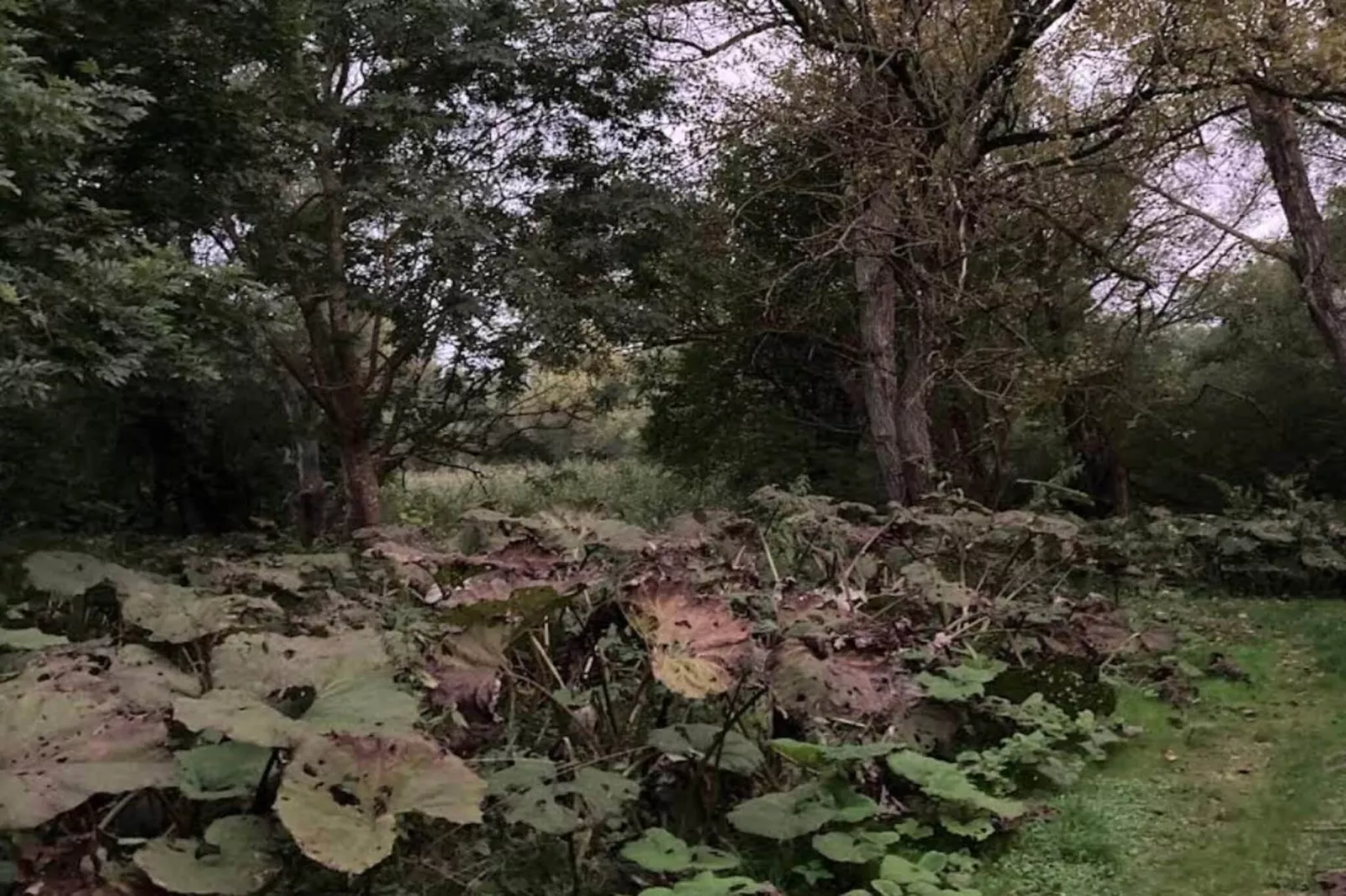 4 persoons vakantie huis in Faxe Ladeplads-Niet-getagd