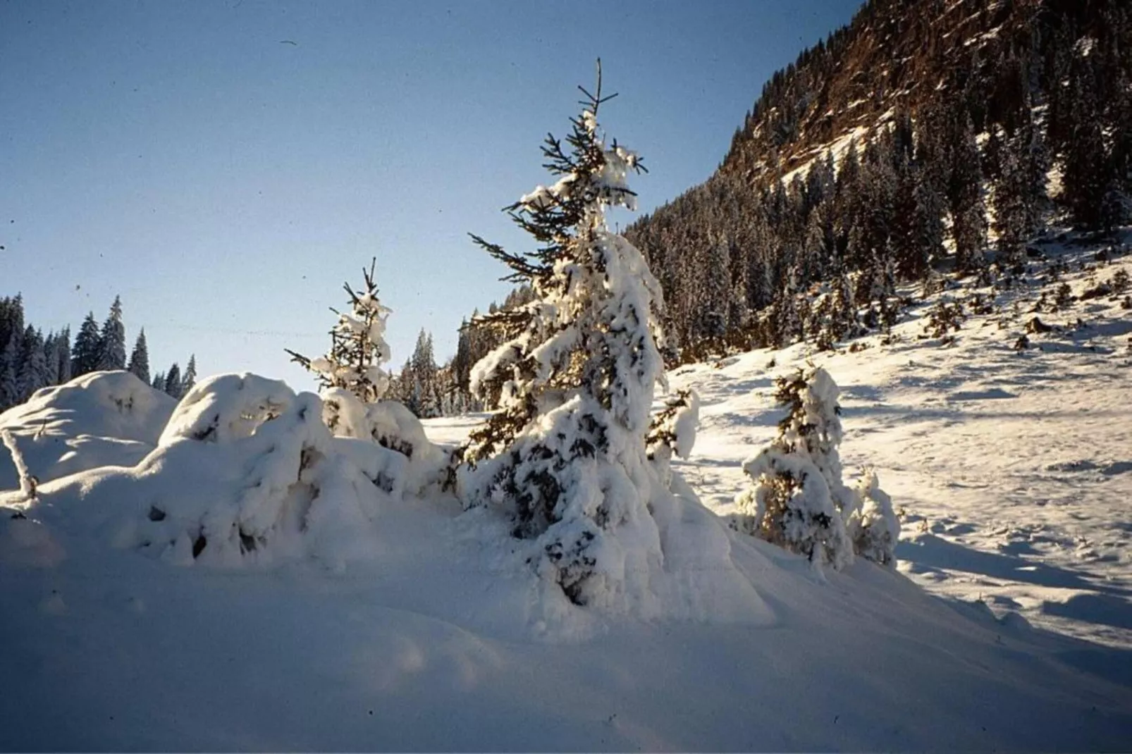 Bials-Gebied winter 20km