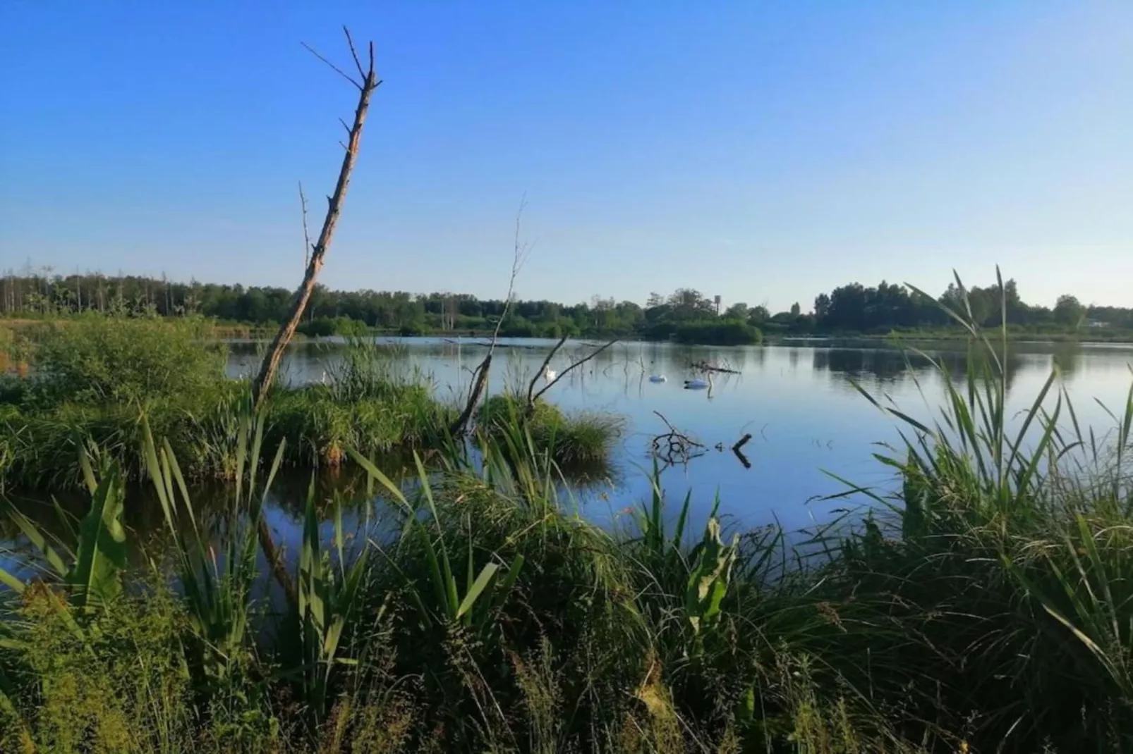 Le Bochetay 12-Gebieden zomer 20km