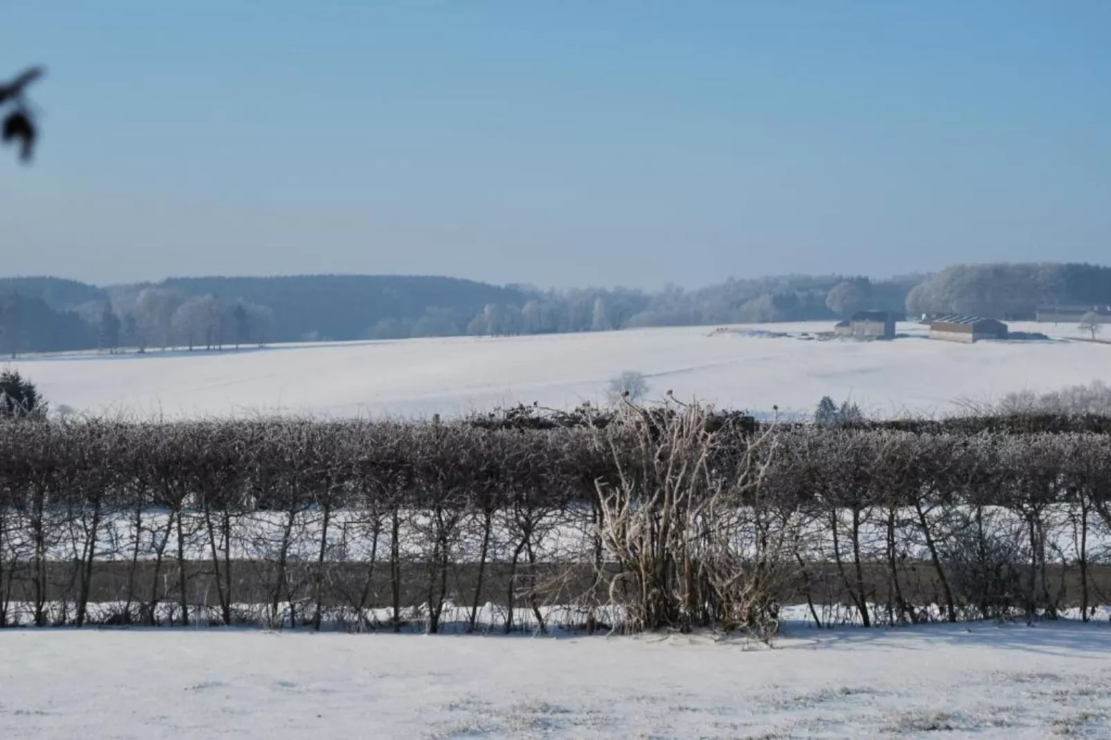 Jardin de l'Ourthe 22-Gebied winter 20km