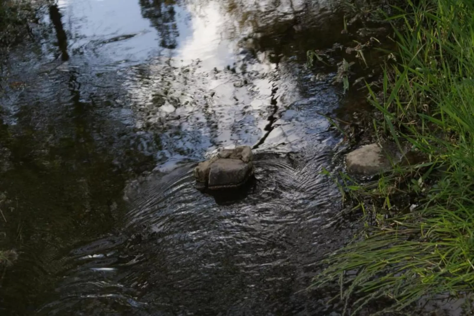 La Hetraie-Gebieden zomer 20km