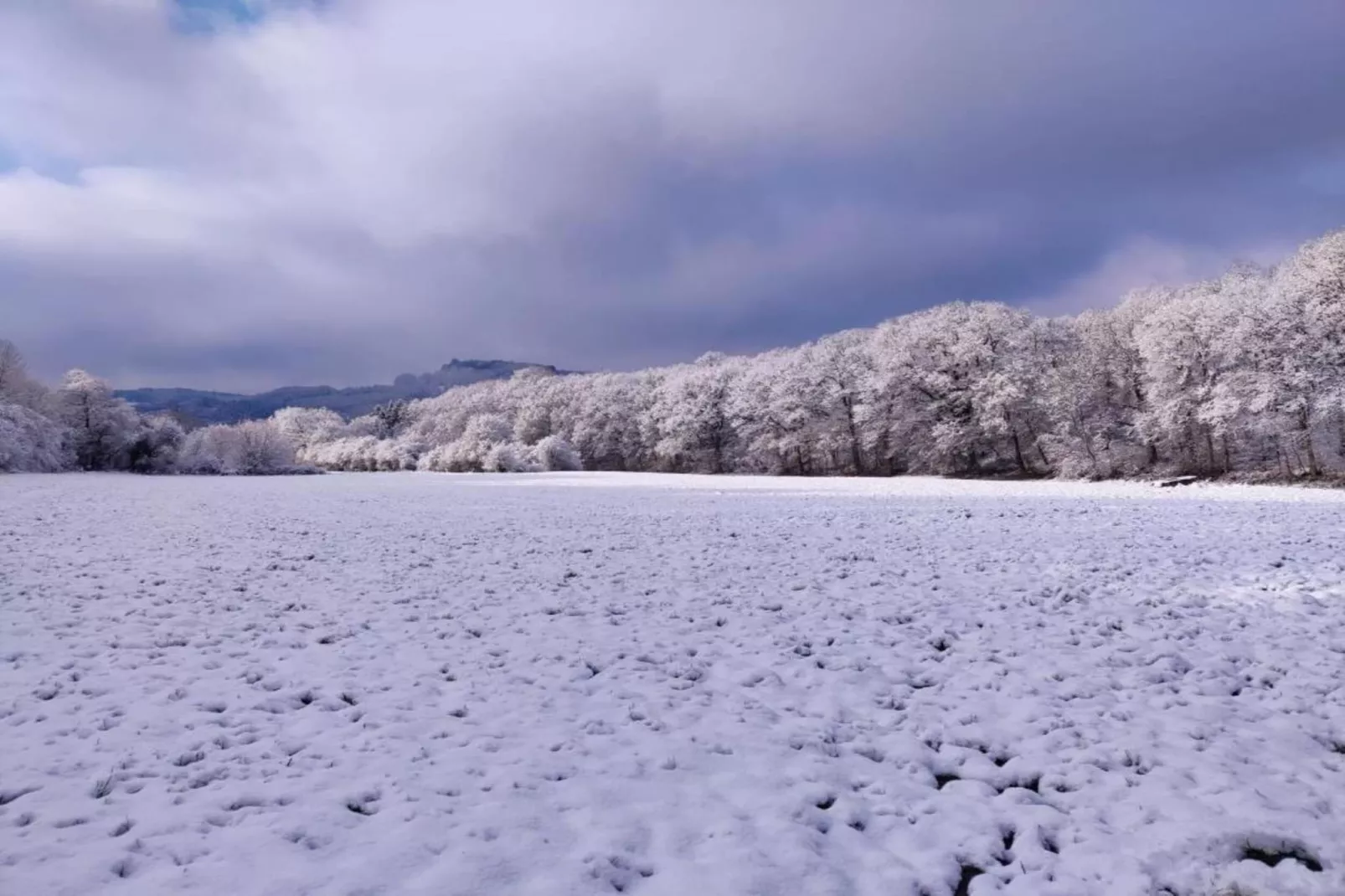Résidence Durbuy 10-Gebied winter 5km