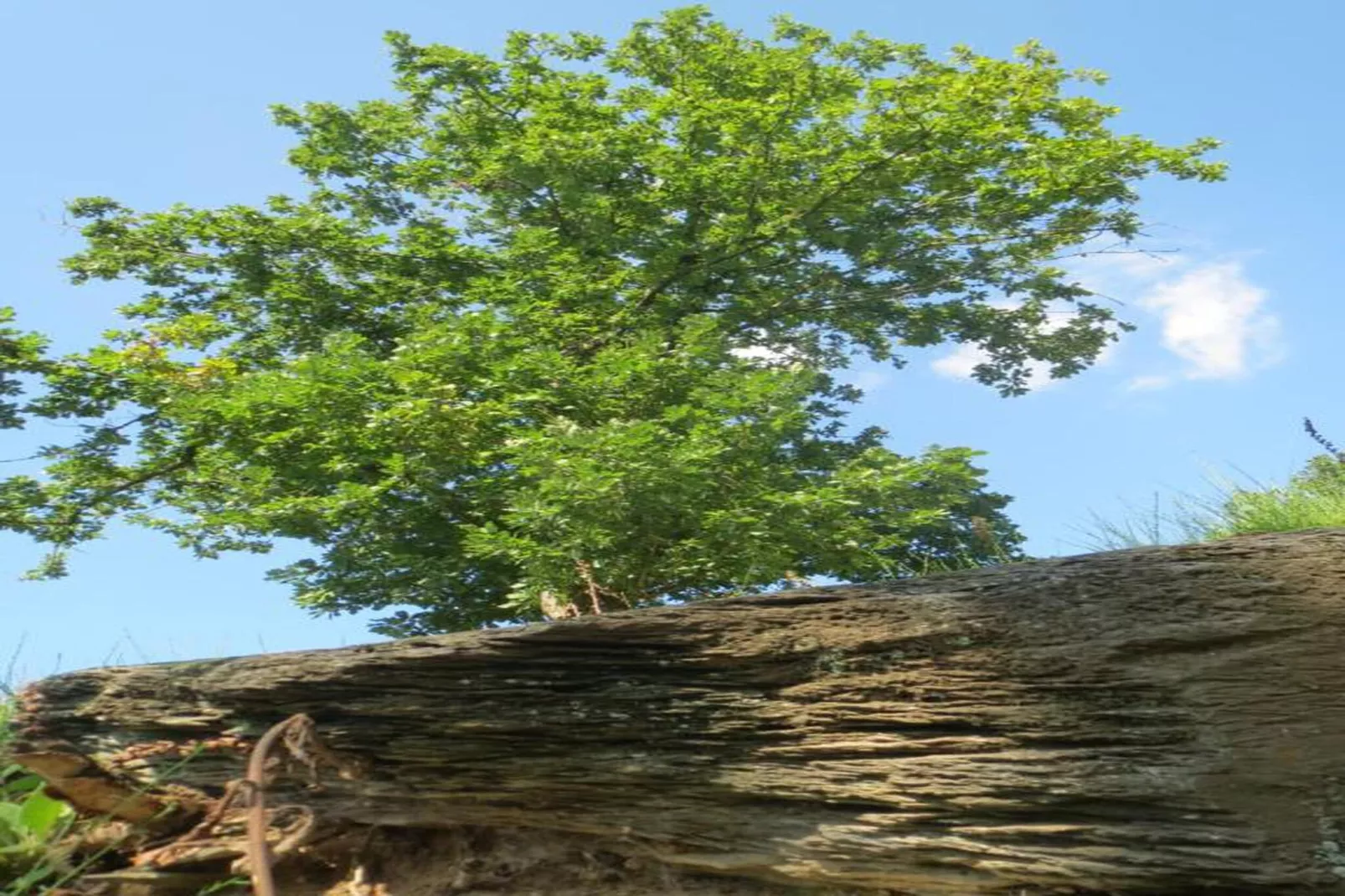 Les Rochettes Vénus 5-Gebieden zomer 20km