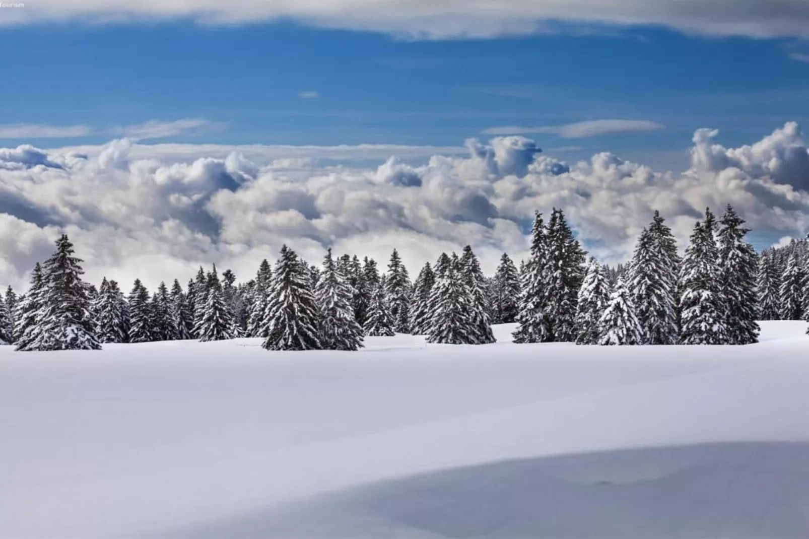 Chalet Edge-Gebied winter 5km