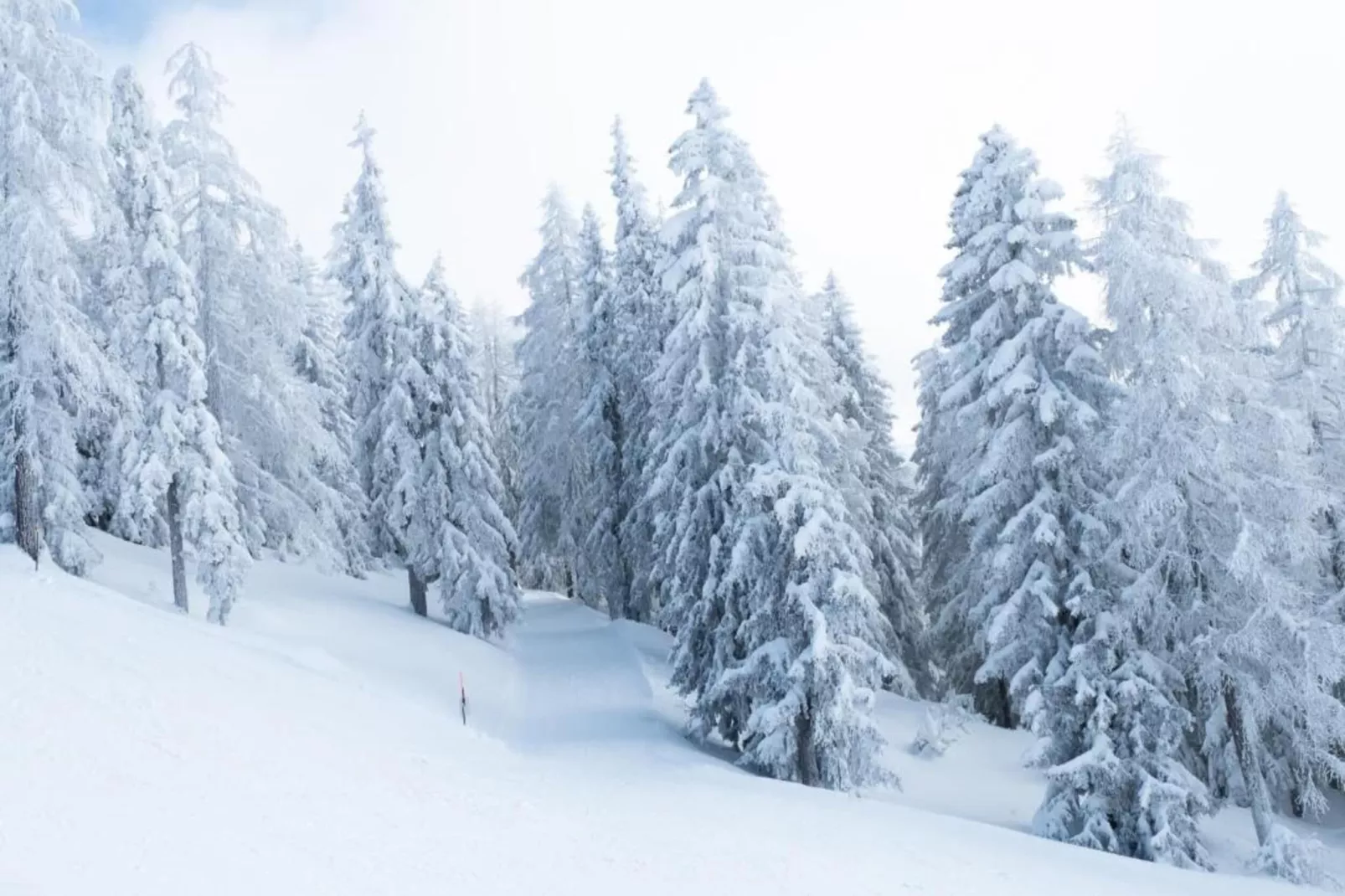 Bel Air-Gebied winter 5km