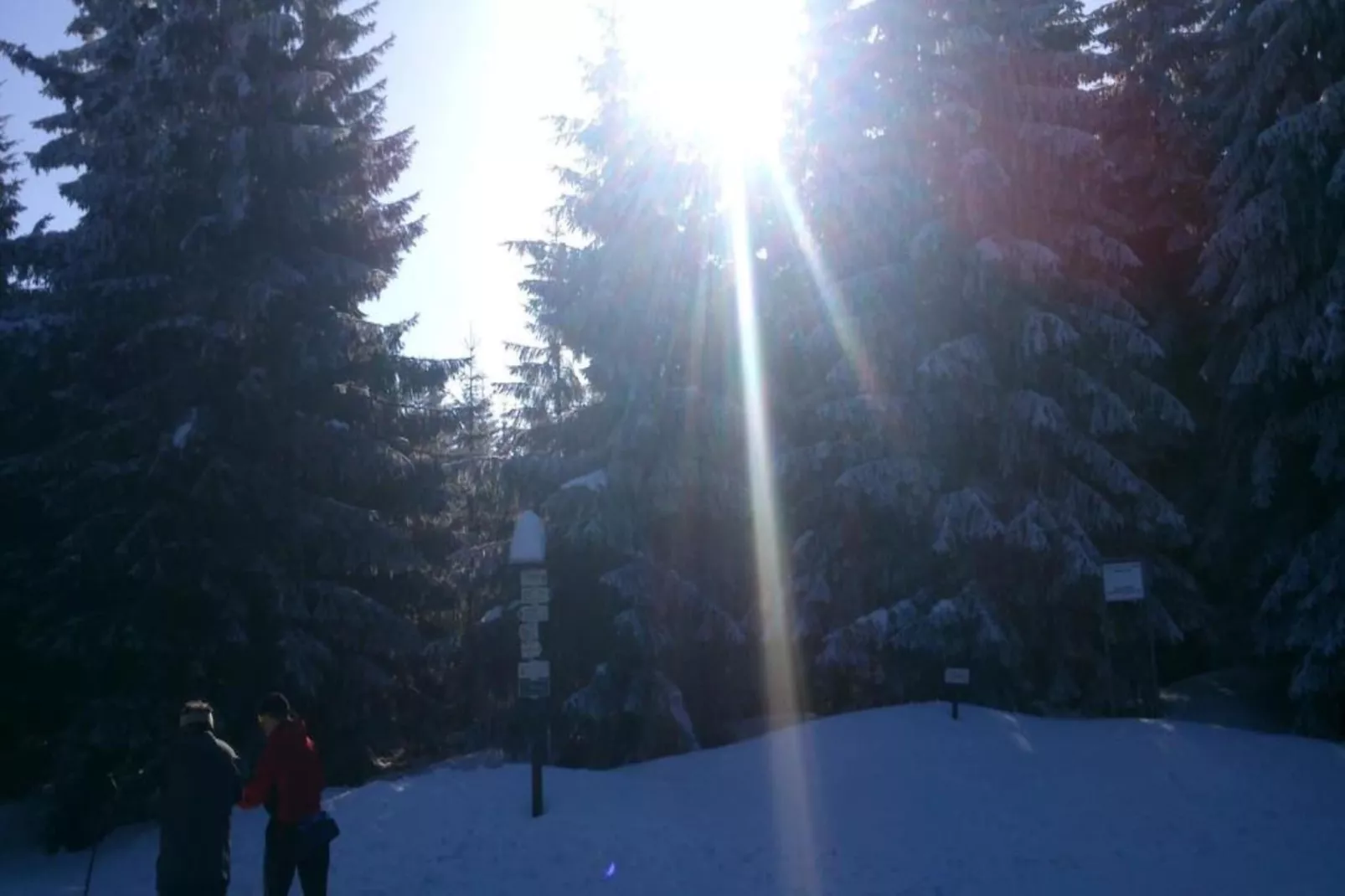 Monika-Gebied winter 5km