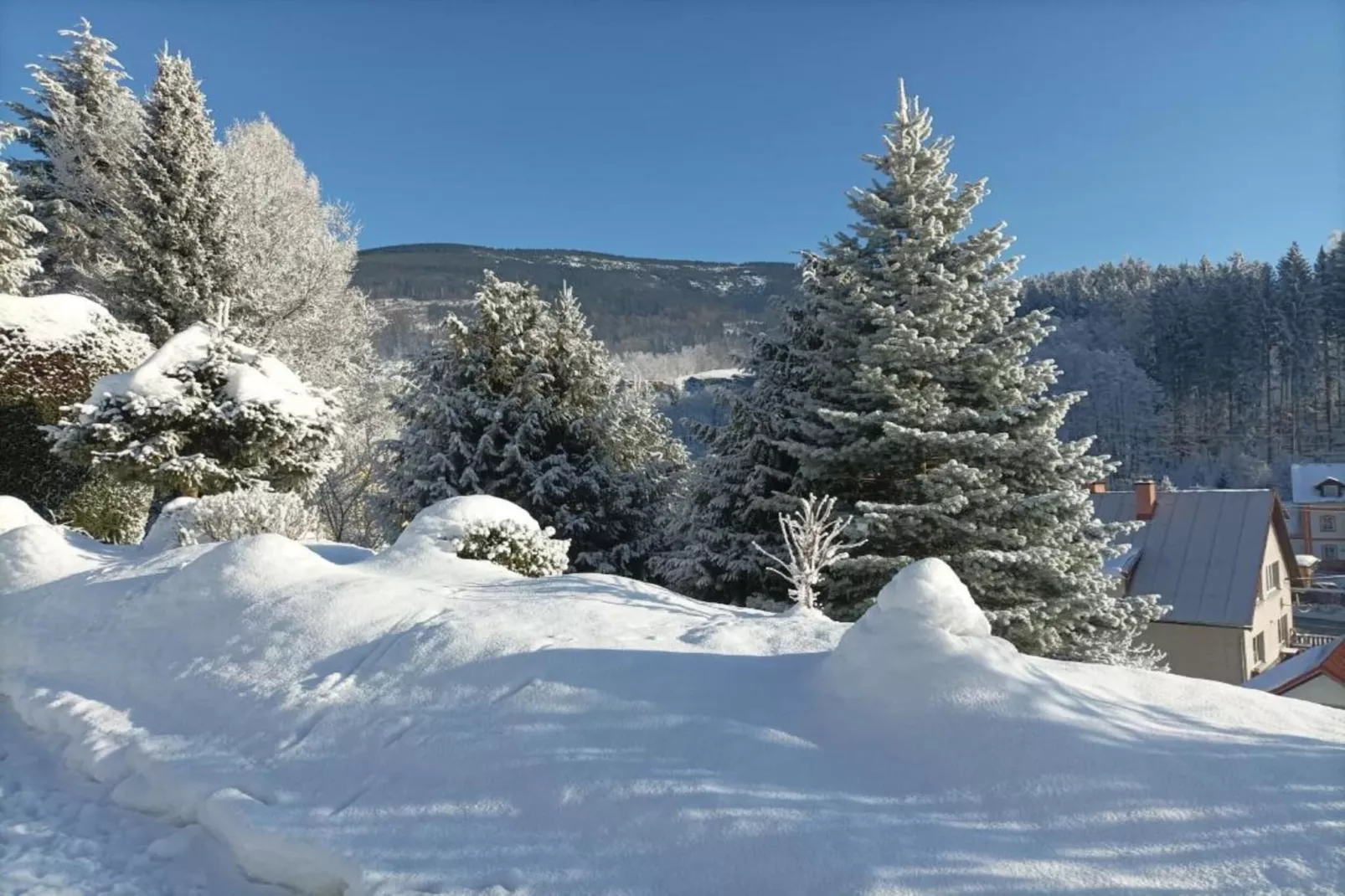 Rokytno-Gebied winter 20km