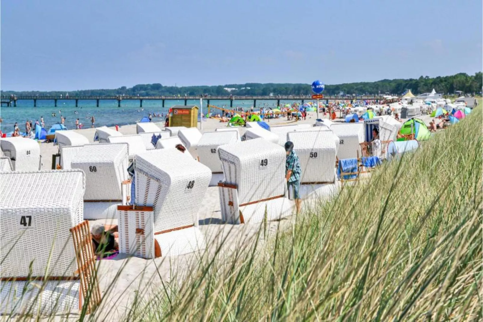Landidyll im Gartenbungalow-Gebieden zomer 20km