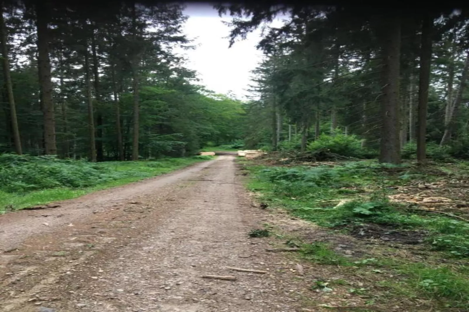 Baltic Hus-Gebieden zomer 20km
