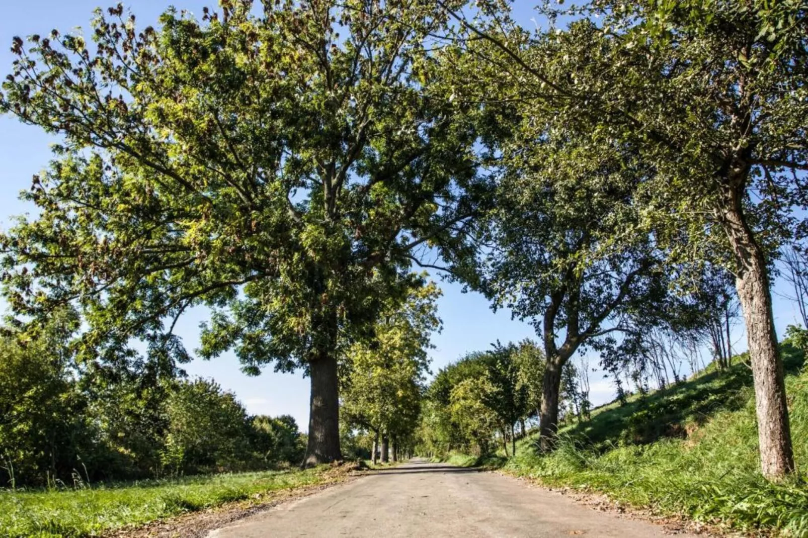 Im Erzgebirge-Gebieden zomer 20km