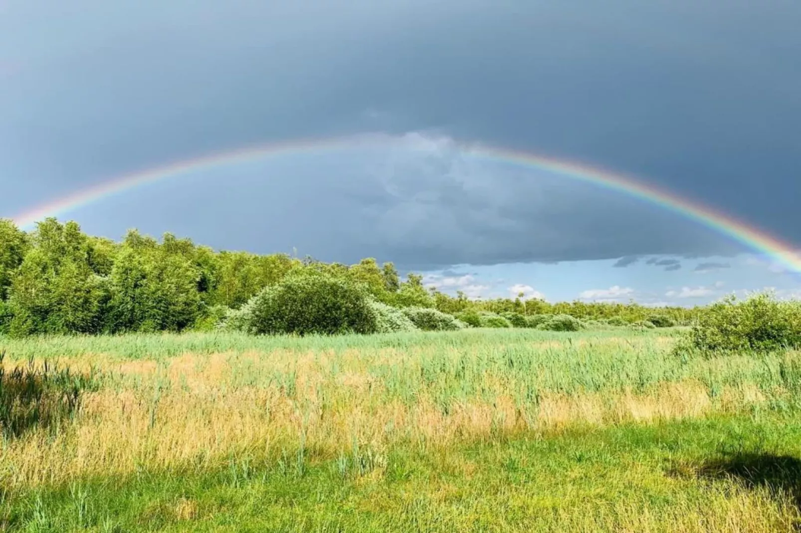 Ferienhaus Ahlbeck am Haff - Schlafen unter Reet / 2-Gebieden zomer 20km