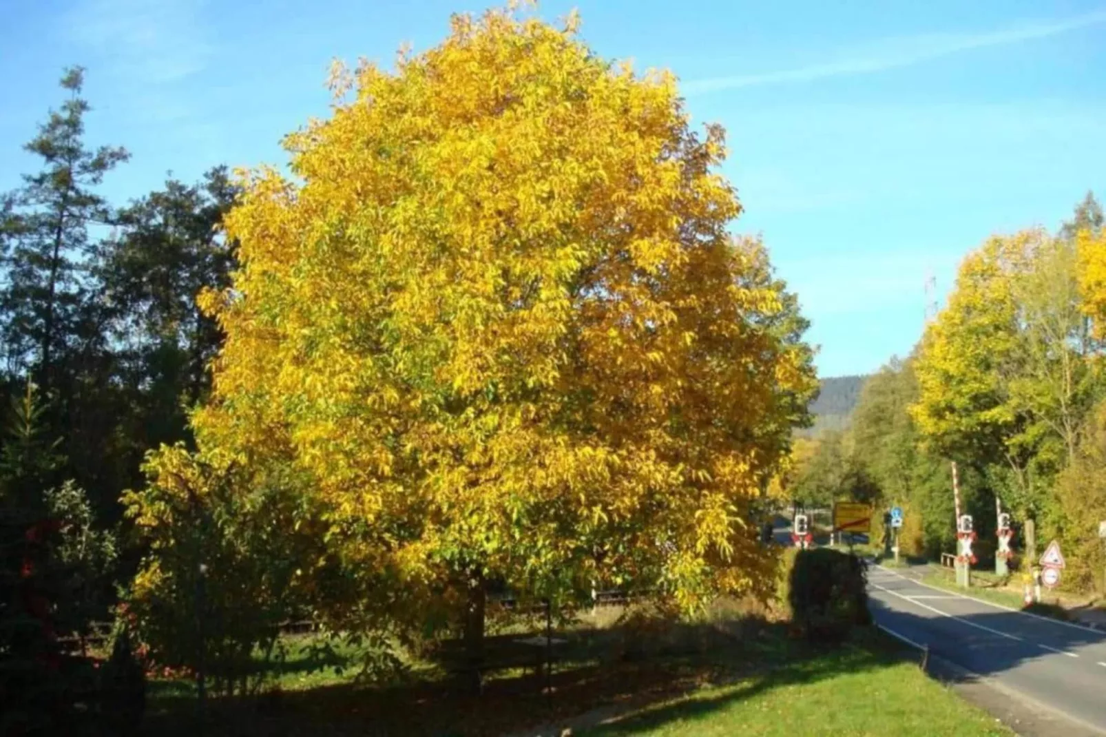 Feriendorf Natur pur 1-Gebieden zomer 20km