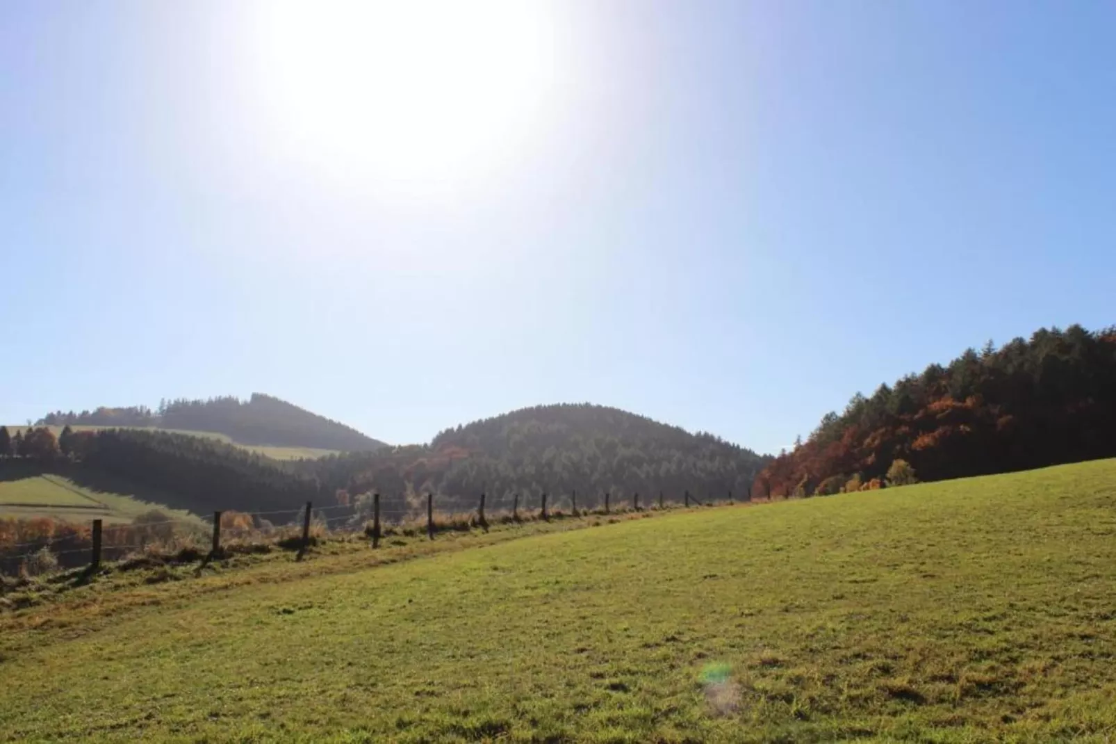 Appartement Willingen-Gebieden zomer 5km