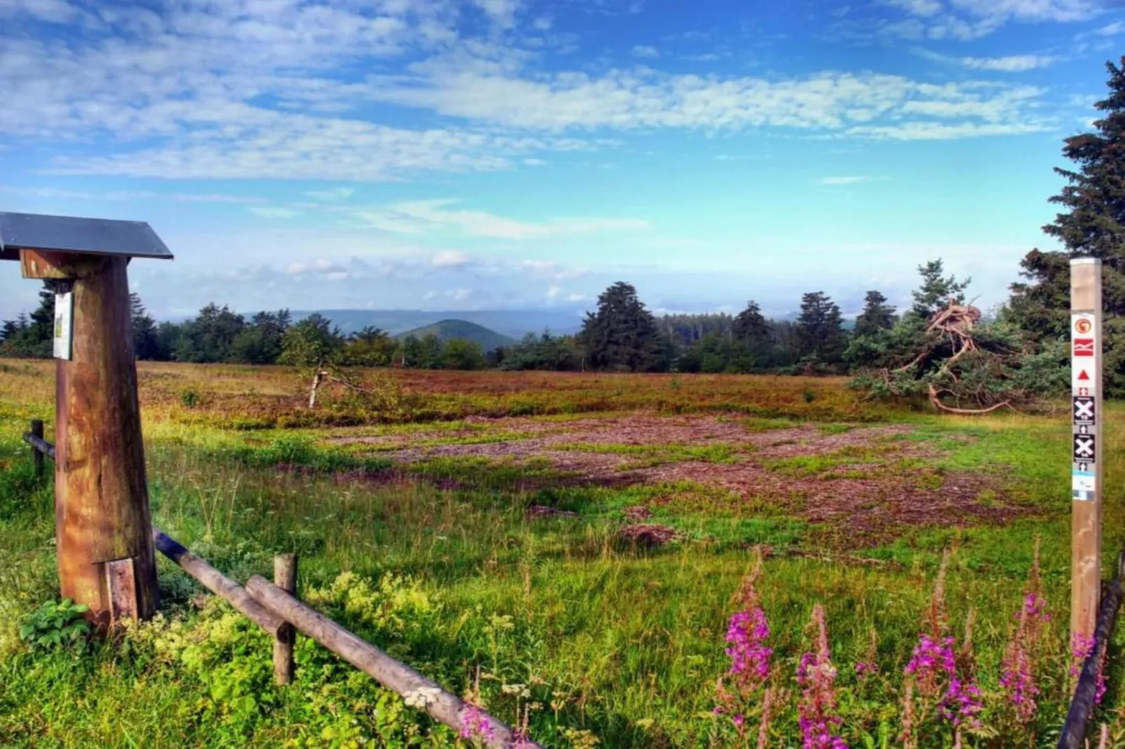 Barbara-Gebieden zomer 20km