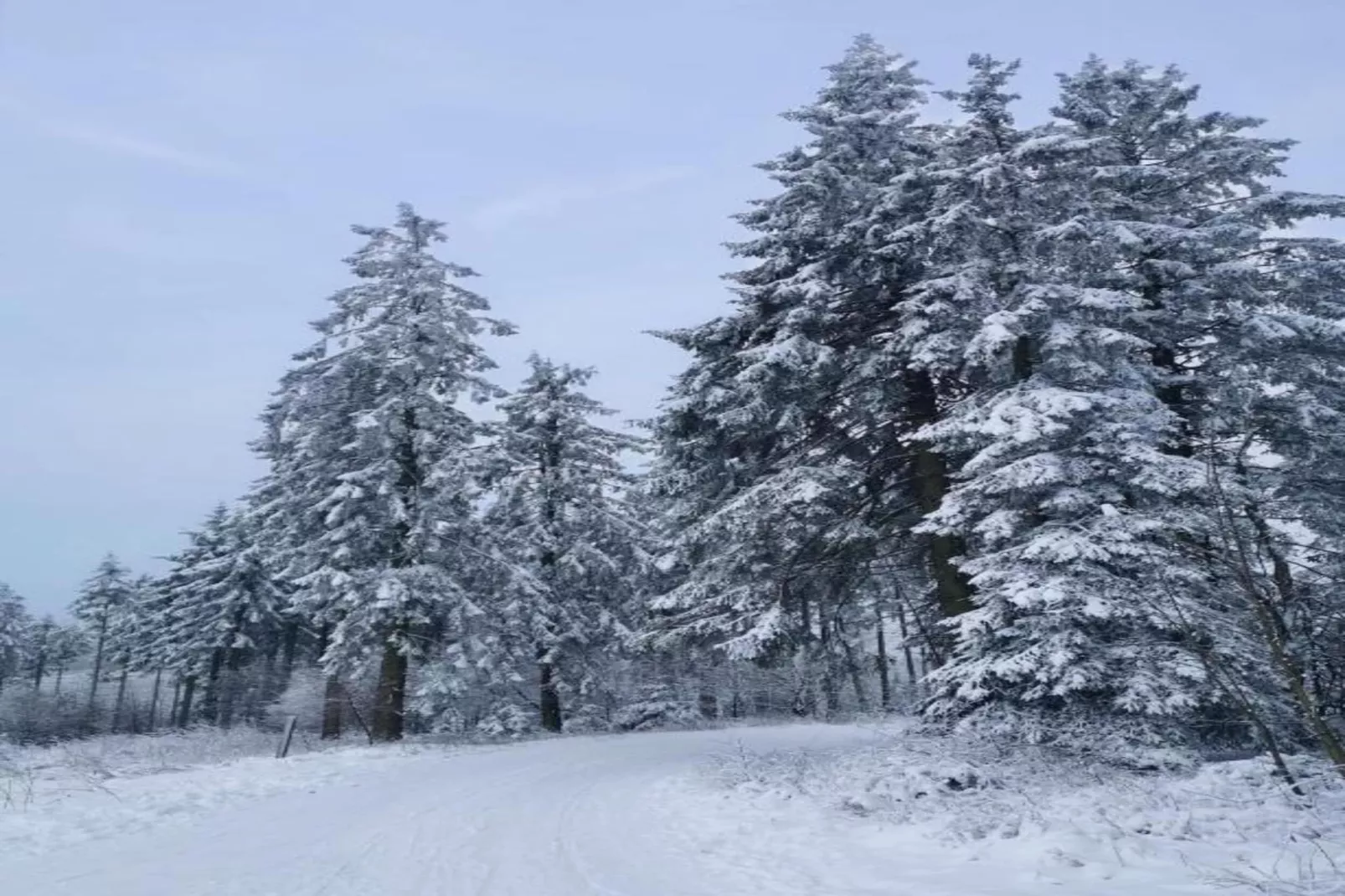 Sauerland - Diemelsee-Gebied winter 5km