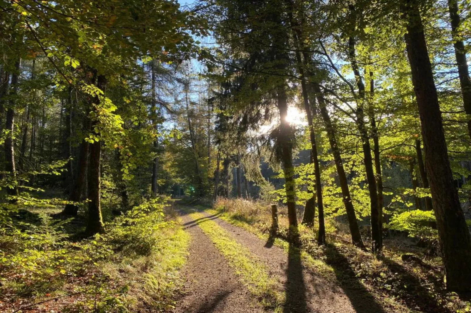 Diemelsee-Gebieden zomer 5km