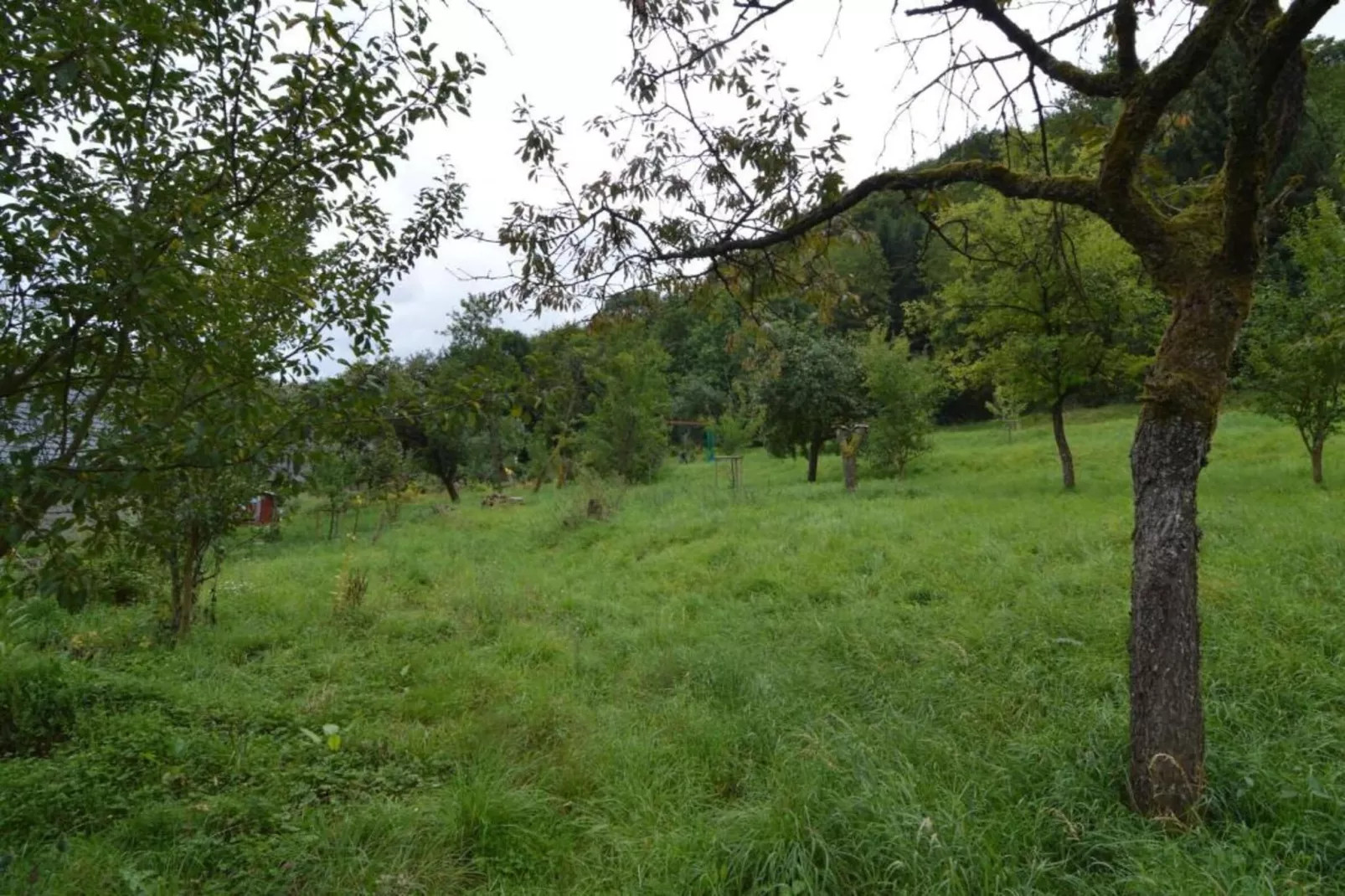 Rosenherz-Gebieden zomer 20km