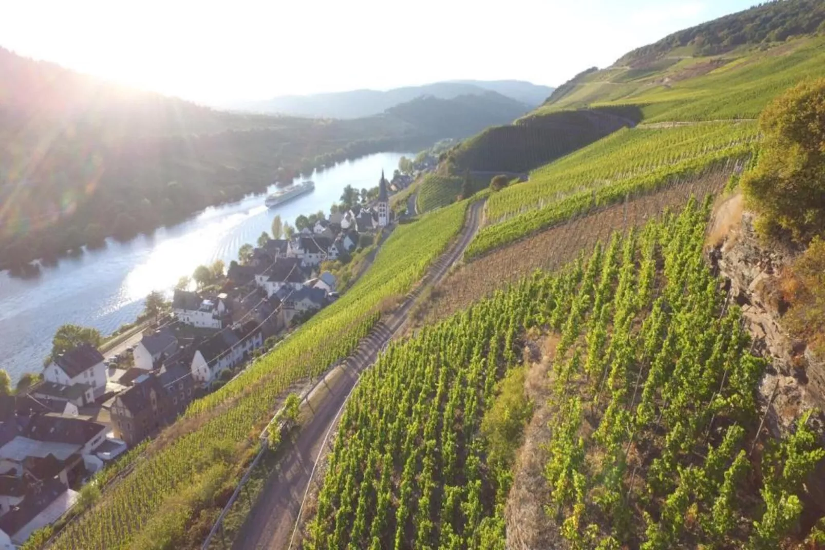 Ferienresort Cochem 33-Gebieden zomer 20km