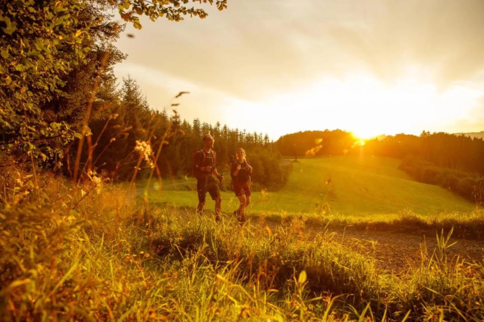 Am Damwildgehege-Gebieden zomer 20km