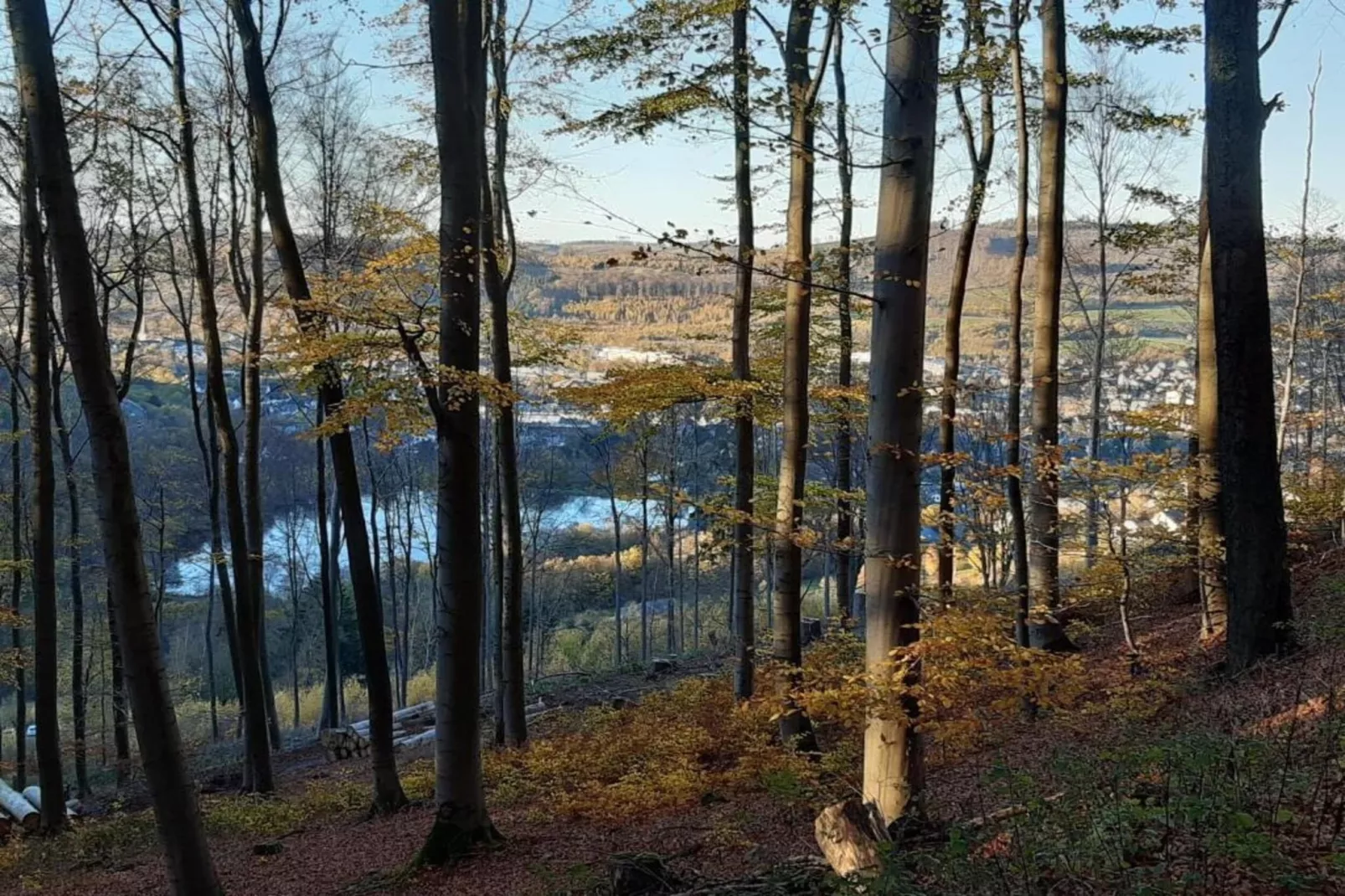Sauerland-Gebieden zomer 5km