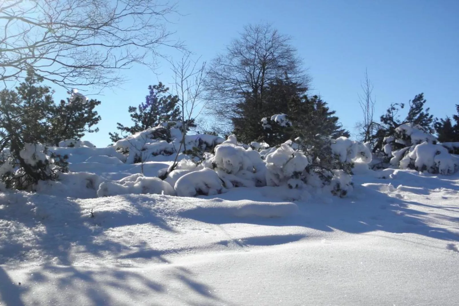 El Dorado-Gebied winter 20km