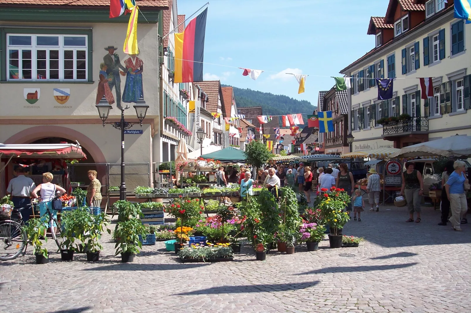 Im Kinzigtal-Gebieden zomer 1km