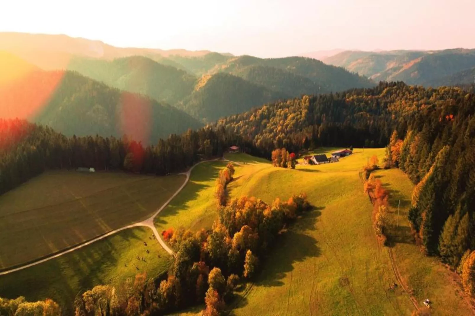 Schwarzwald Marie-Gebieden zomer 20km