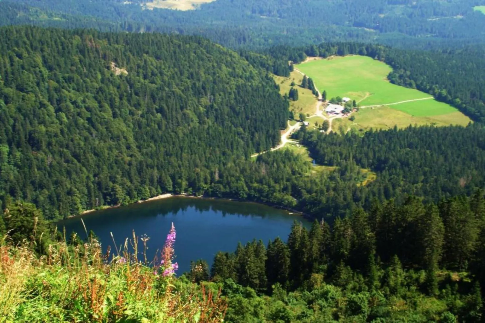 Neukirch-Gebied winter 20km