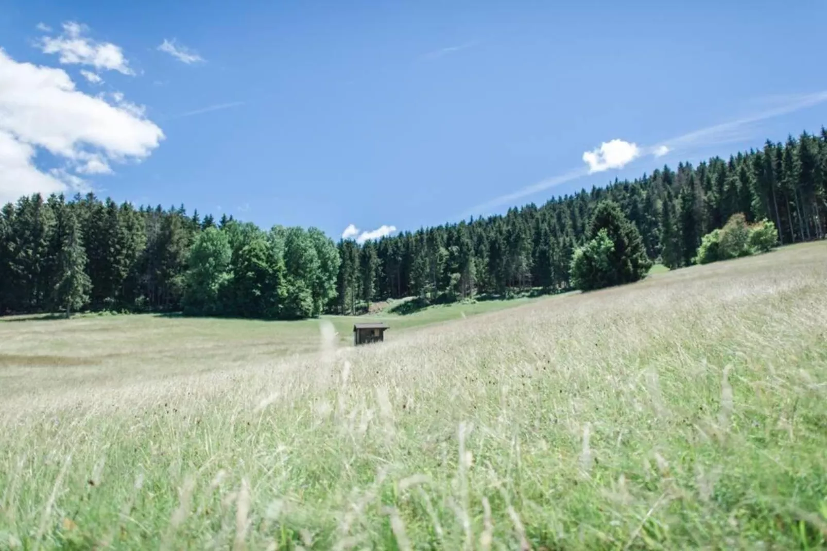 Bernau-Gebieden zomer 20km