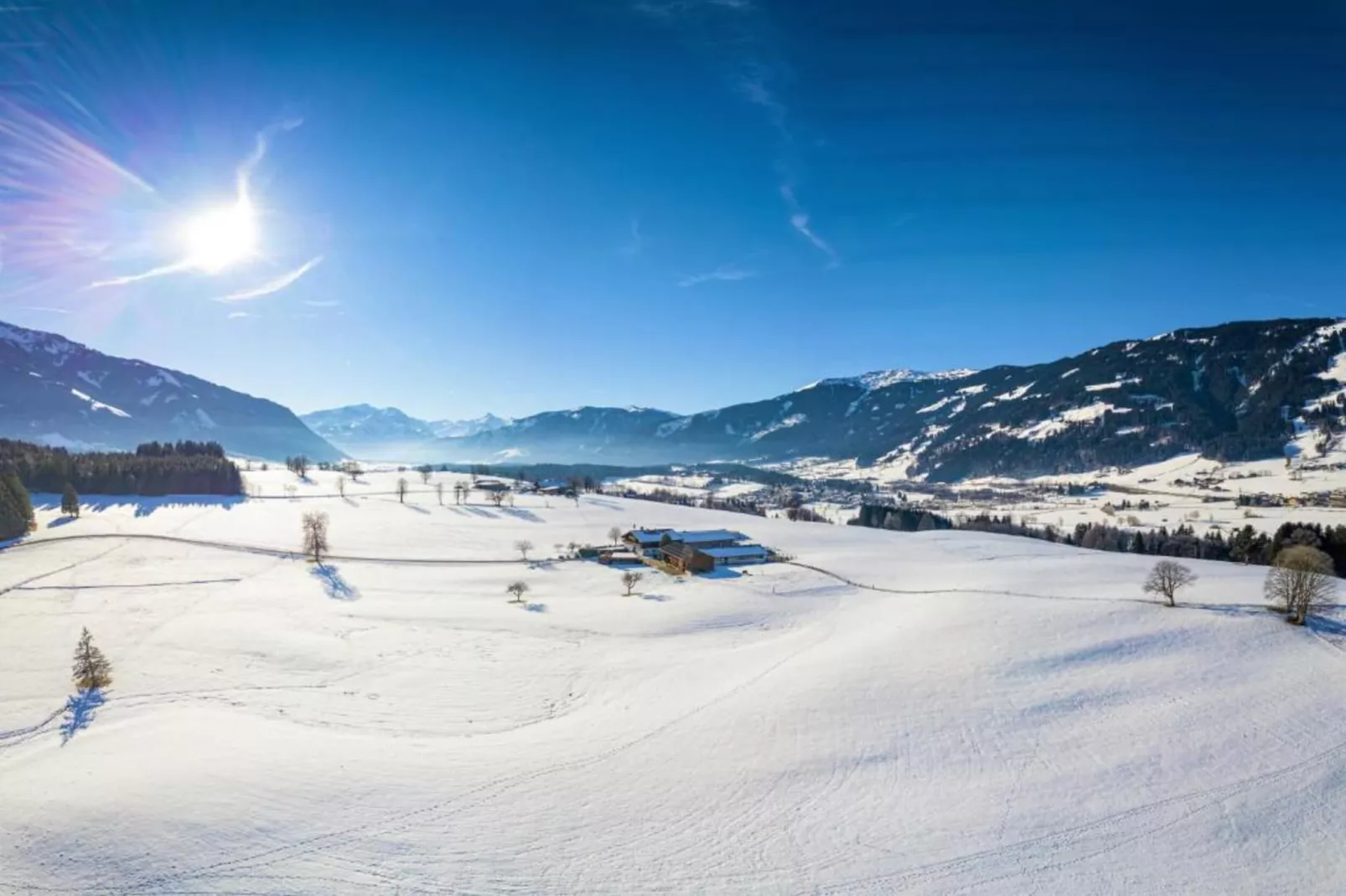 Altes Forsthaus-Gebied winter 20km