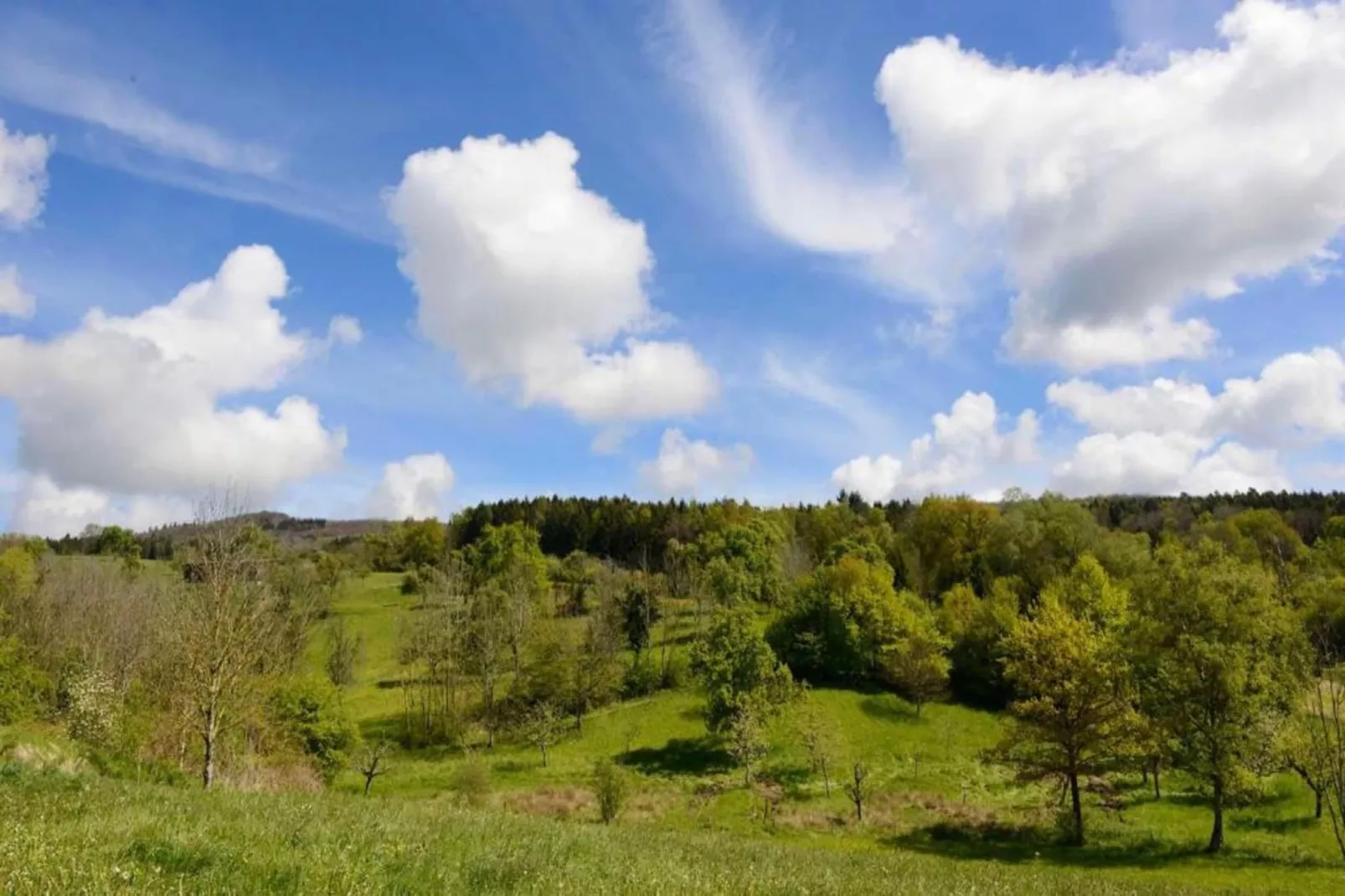 Markdorf-Gebieden zomer 20km