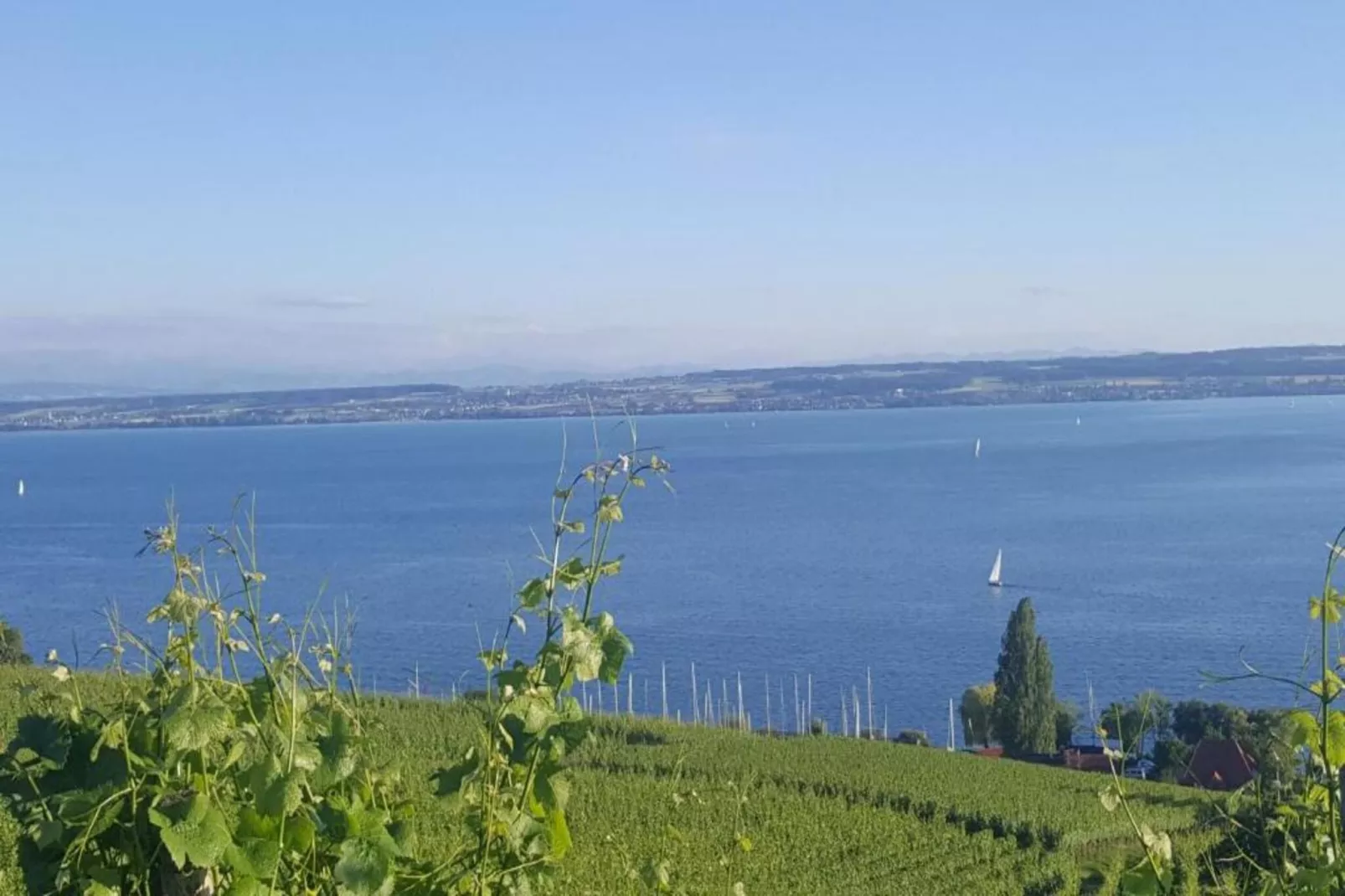 Am Bodensee-Gebieden zomer 20km