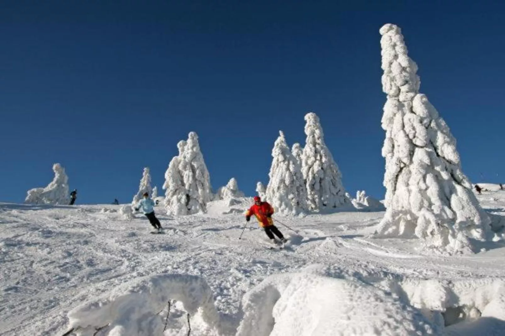 Wichsenstein-Gebied winter 20km