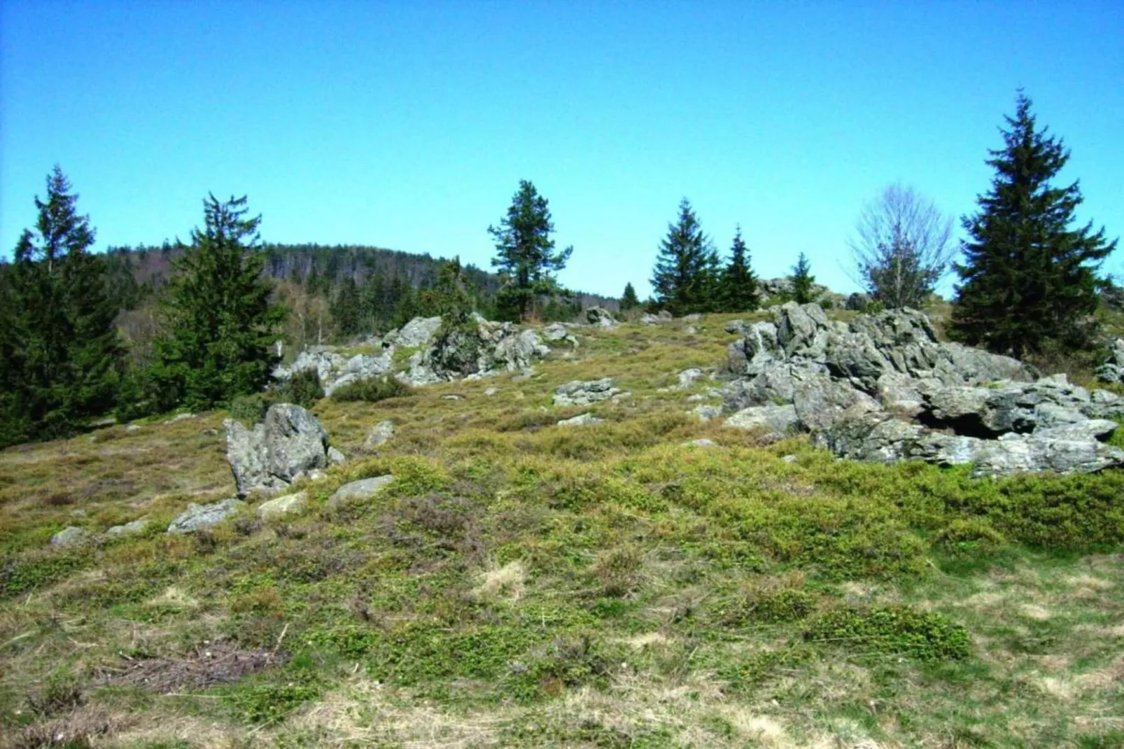 Schloßbergblick-Gebieden zomer 20km