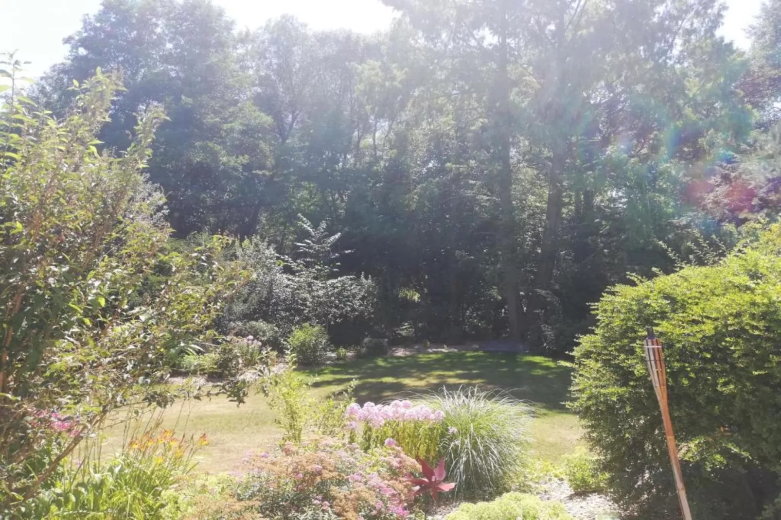 Morgensonne-Gebieden zomer 20km