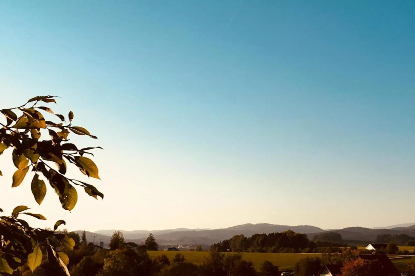 Bernhardsberg-Gebieden zomer 5km