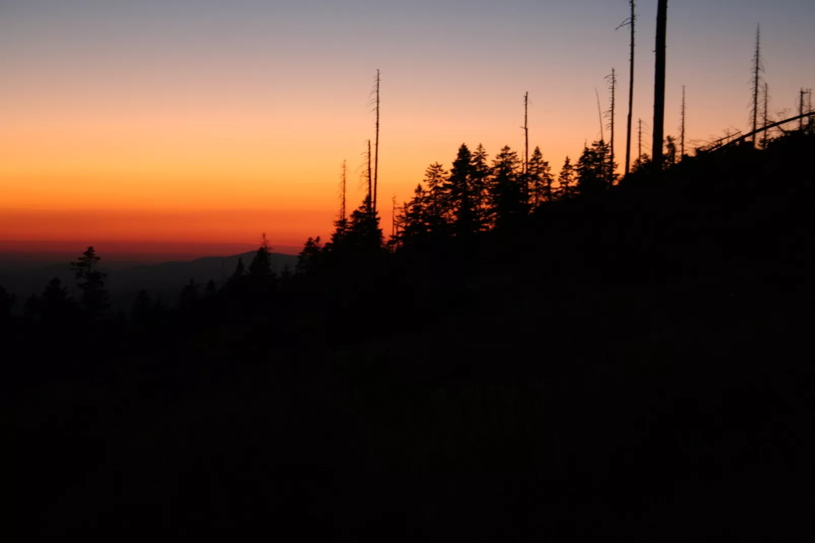 Bayerischer Wald-Gebieden zomer 20km
