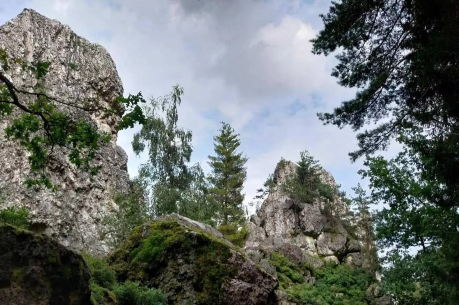 Vakantiehuis met sauna in Viechtach-Gebieden zomer 20km