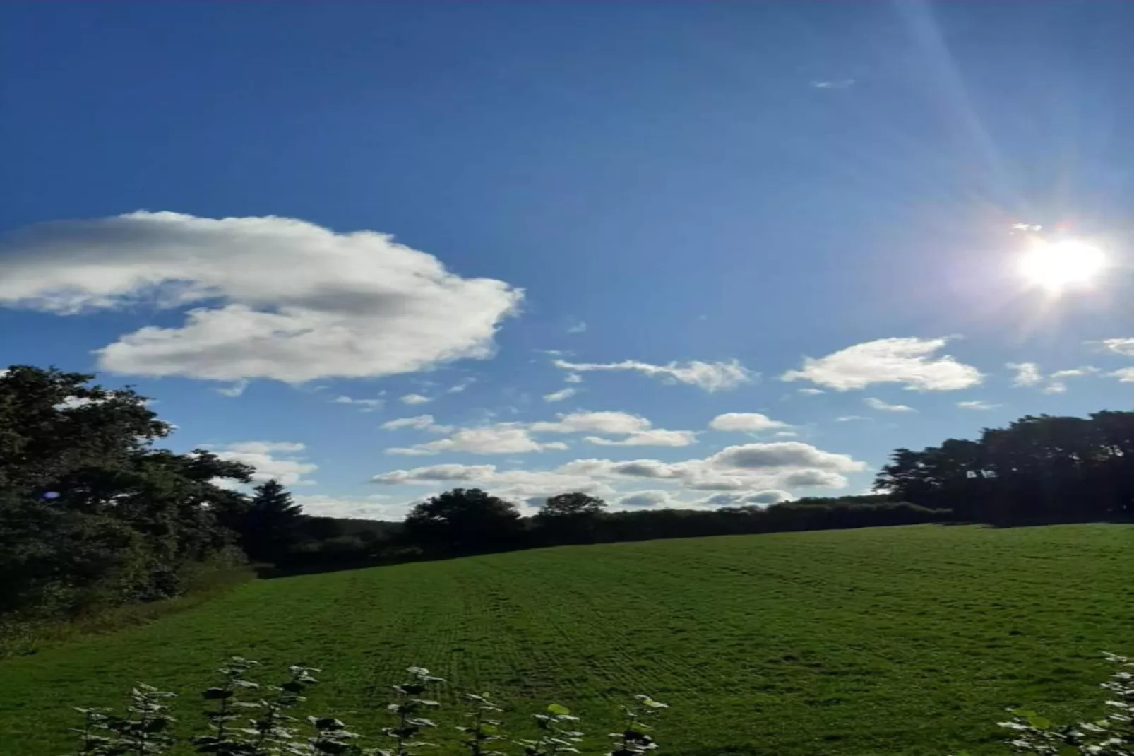 Wildrose-Gebieden zomer 20km